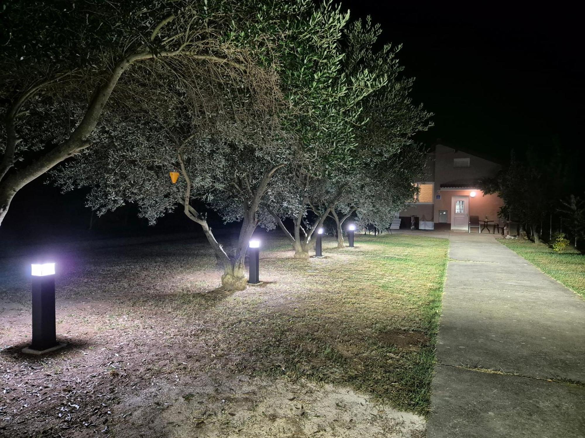 Holiday Home Begonja Privlaka  Dış mekan fotoğraf